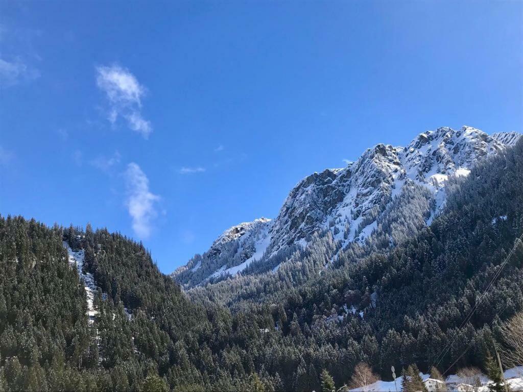 AlpinAppartements Stöckl Partenen Buitenkant foto